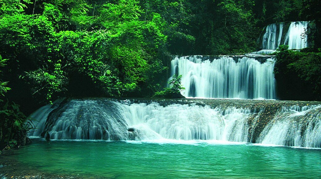 YS Falls & Black River Safari