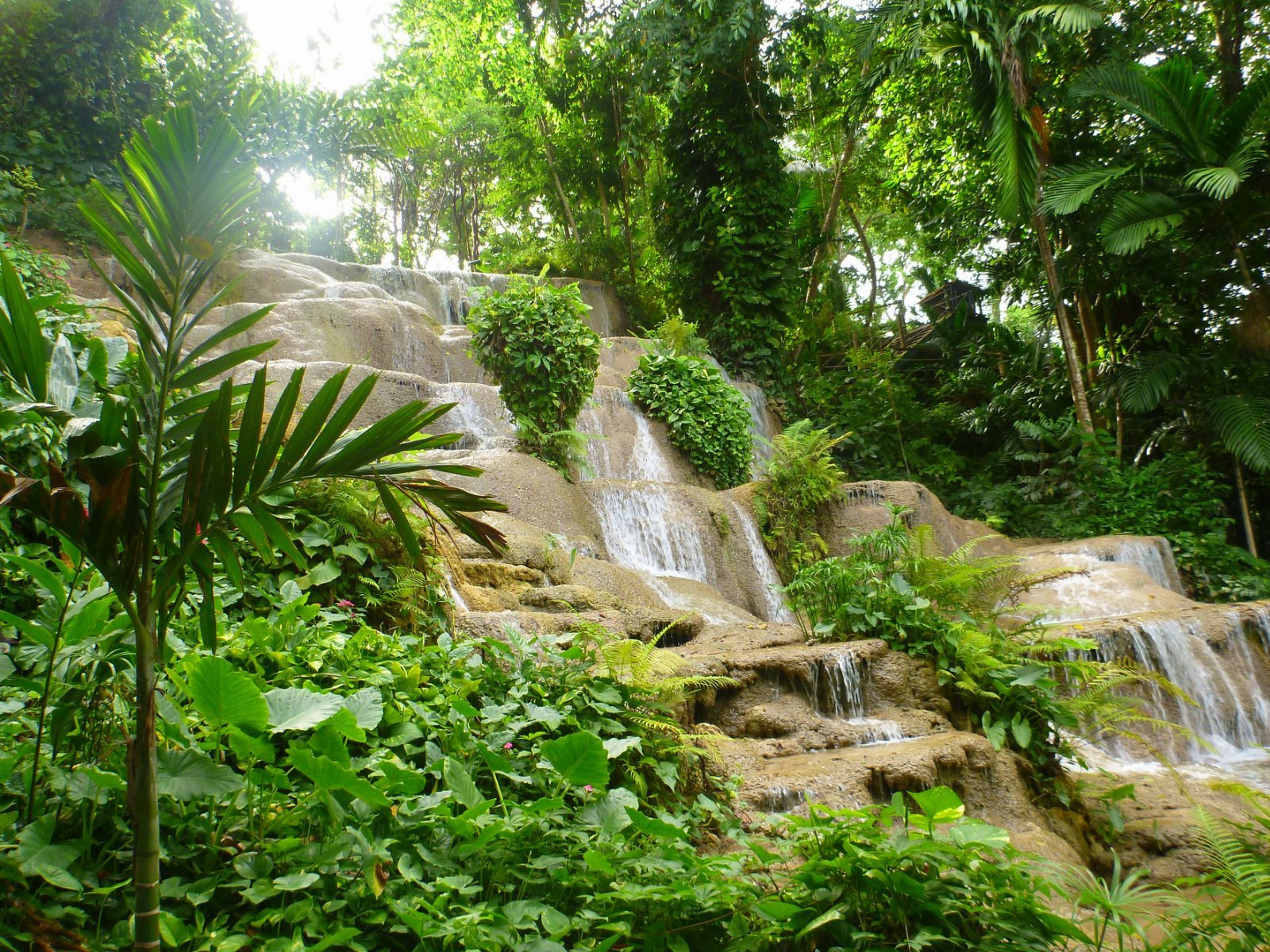 Konoko Falls & Park